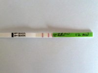 22052010402.jpg