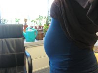 belly 18w2d.jpg