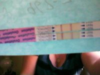 image201005280013.jpg