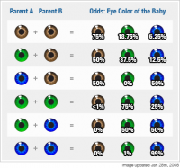 baby_eye_color_odds.png