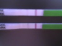 Picture 16.jpg