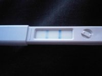 cd15 - ov_check_300510_8pm_b.jpg