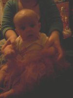 p_00020.jpg