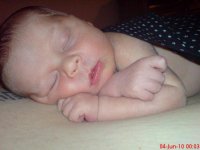 DSC01105.jpg