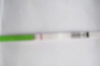 CD18.jpg