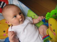 IMG_0534.jpg