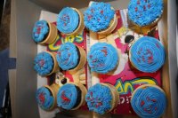 birthdaycupcakes 003.jpg