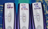 opktest2.jpg