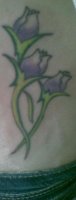 tummytat3.jpg