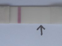 18062010 012.jpg