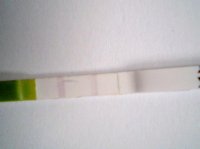 2009-01-14-51914.jpg