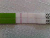 tests 009.jpg
