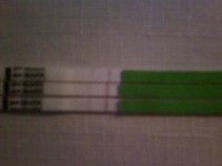 tests 010.jpg