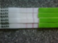 tests 011.jpg