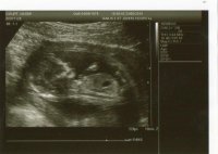 13 Weeks.jpg