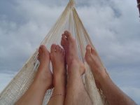 Picture 105.jpg