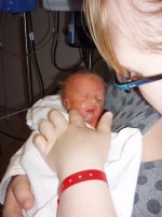 Picture 003.jpg