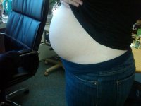 belly 23w2d-c.jpg