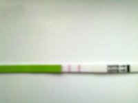 opk sun.jpg