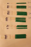 dry opk.jpg
