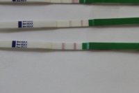 pos opk.jpg