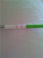 opk.jpg
