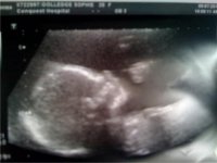 scan1.jpg