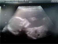 scan3.jpg
