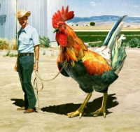 man and huge cock.png