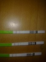 11072010273.jpg