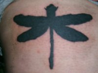 Big dragonfly tattoo.jpg