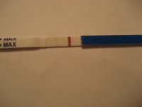 bfp 001.jpg