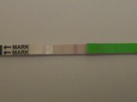 cd10 opk.jpg