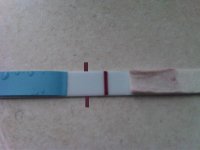 IMG00170-20100718-1838i.jpg