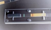 IMAG0254.jpg