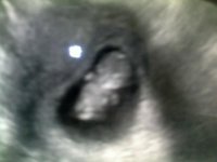 07212010081.jpg