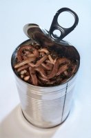 can o wormies.jpg