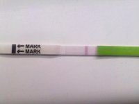 opk 3.jpg