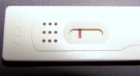 DSC01255.jpg
