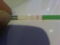 IMG03259-20100728-2058.jpg