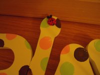 DSCN2558.jpg