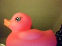 Snapshot_20100730.jpg