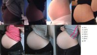 bump progression.jpg