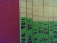 opk 1-25-09 3.jpg