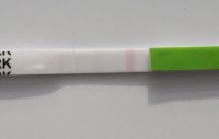 cd14 opk.jpg