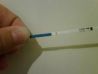 IMG00296-20100802-2119.jpg