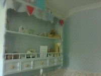 nursery pic 5.jpg
