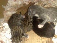 29072010112.jpg
