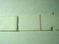 JULY 21 FRER 004.jpg
