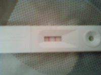 OPK.jpg